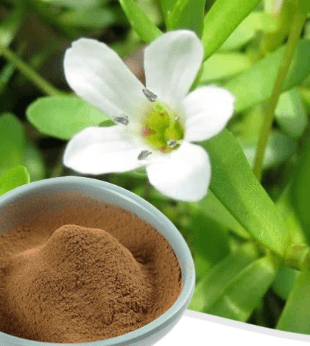 Natural Ingredient Detail